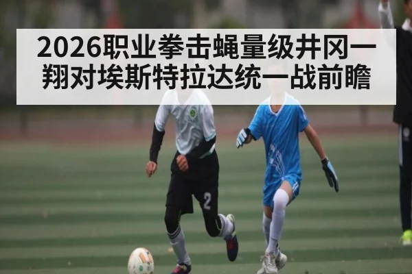 2026职业拳击蝇量级井冈一翔对埃斯特拉达统一战前瞻