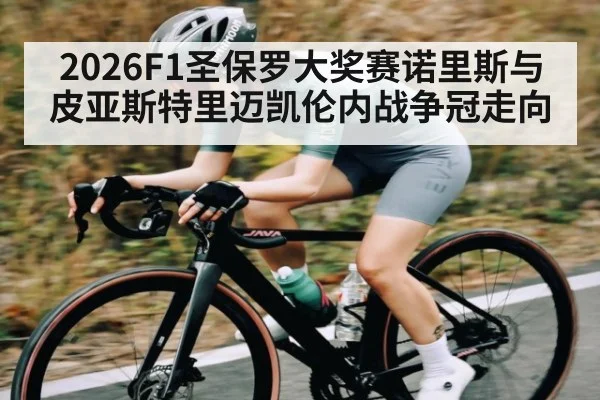 2026F1圣保罗大奖赛诺里斯与皮亚斯特里迈凯伦内战争冠走向